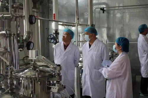 同仁堂興安灤南分公司順利通過(guò)保健食品生產(chǎn)許可現(xiàn)場(chǎng)核查，生物制藥研發(fā)生產(chǎn)再添新翼